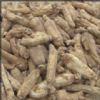 American Ginseng Extract